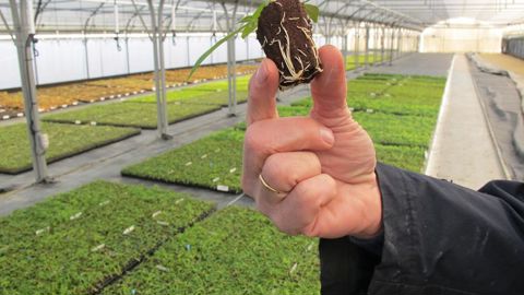 Le principal message à retenir pour les producteurs « éleveurs » reste : « Anticipez ! » Il n’y a plus de temps à perdre. ©P. Fayolle